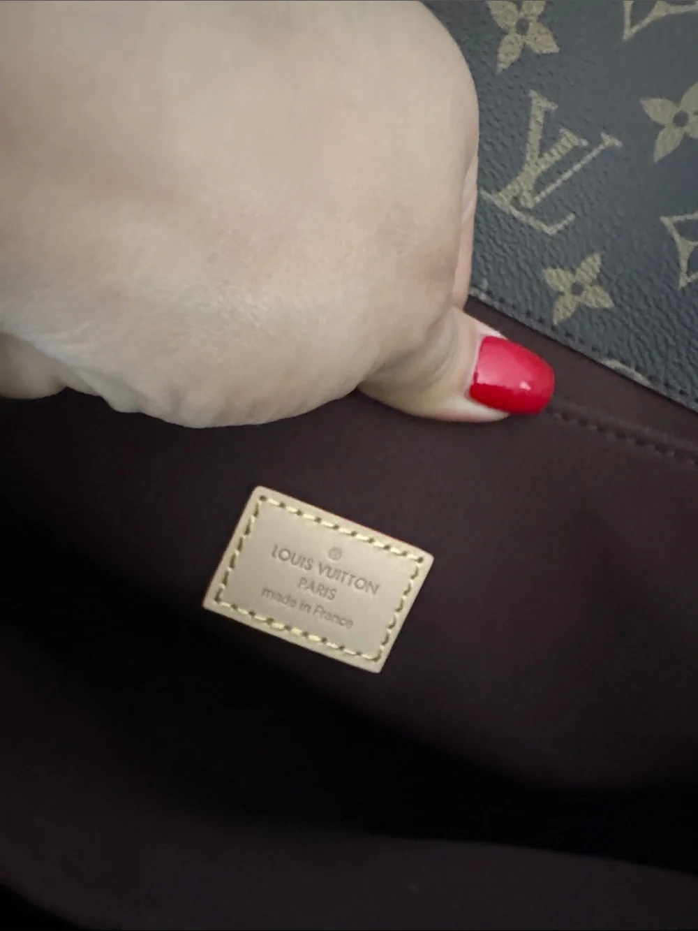 Louis Vuitton pochette Metis
